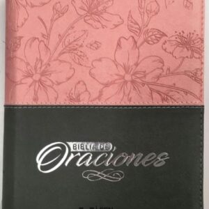 Biblia/RVR056cZLG/ Rosado Gris Canto Plateado Oraciones